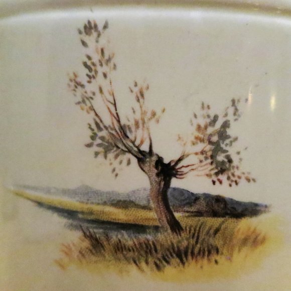 Pitcher Spaniel Dog Enoch Wedgwood Co. Ltd. #1072 Earthenware 7.5" 1908-1936 UK - Picture 6 of 10